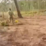 太猖狂！盗猎份子朝柬埔寨护林员疯狂开火！-百家乐打法-百家乐规则-百家乐论坛