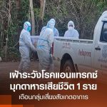 泰东北确认1例炭疽死亡病例！247人高风险！-百家乐打法-百家乐规则-百家乐论坛