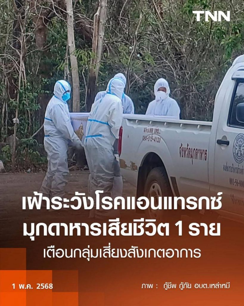 泰东北确认1例炭疽死亡病例！247人高风险！-百家乐打法-百家乐规则-百家乐论坛